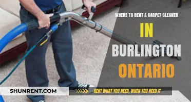 Top Carpet Cleaner Rental Spots in Burlington, Ontario