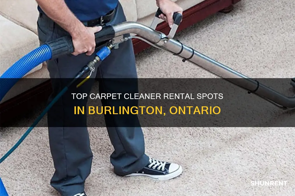 where to rent a carpet cleaner in burlington ontario