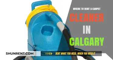 Top Spots to Rent Carpet Cleaners in Calgary: A Quick Guide