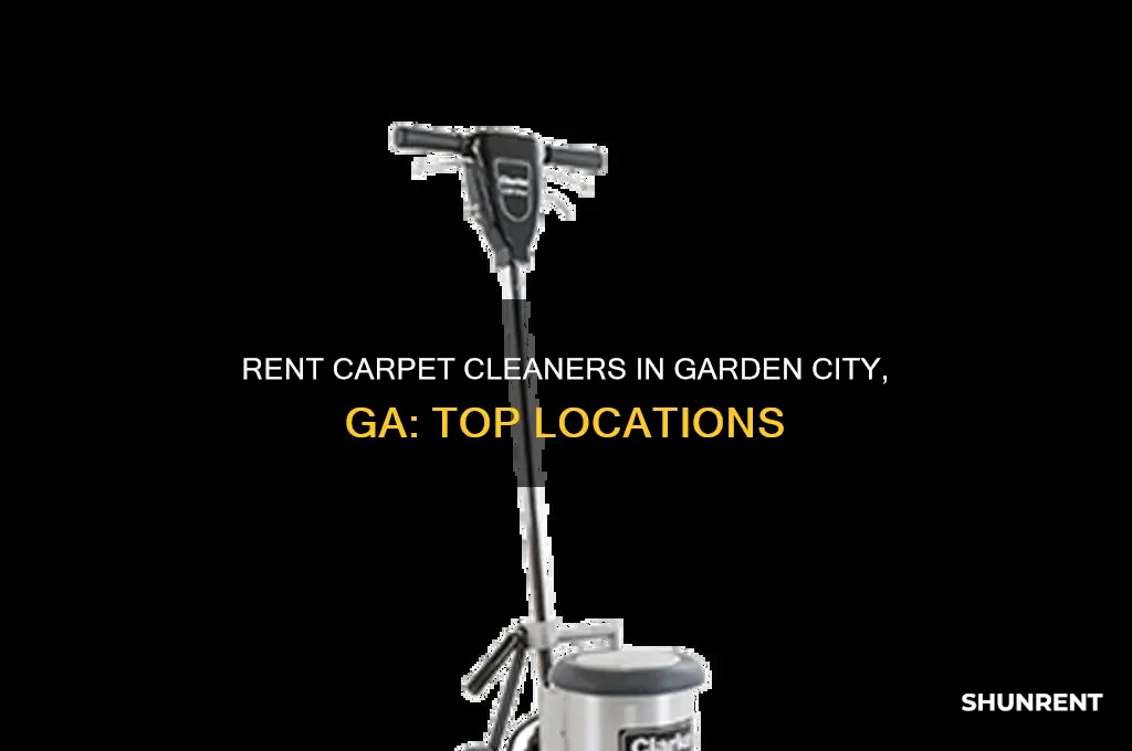 where to rent a carpet cleaner in garden city ga