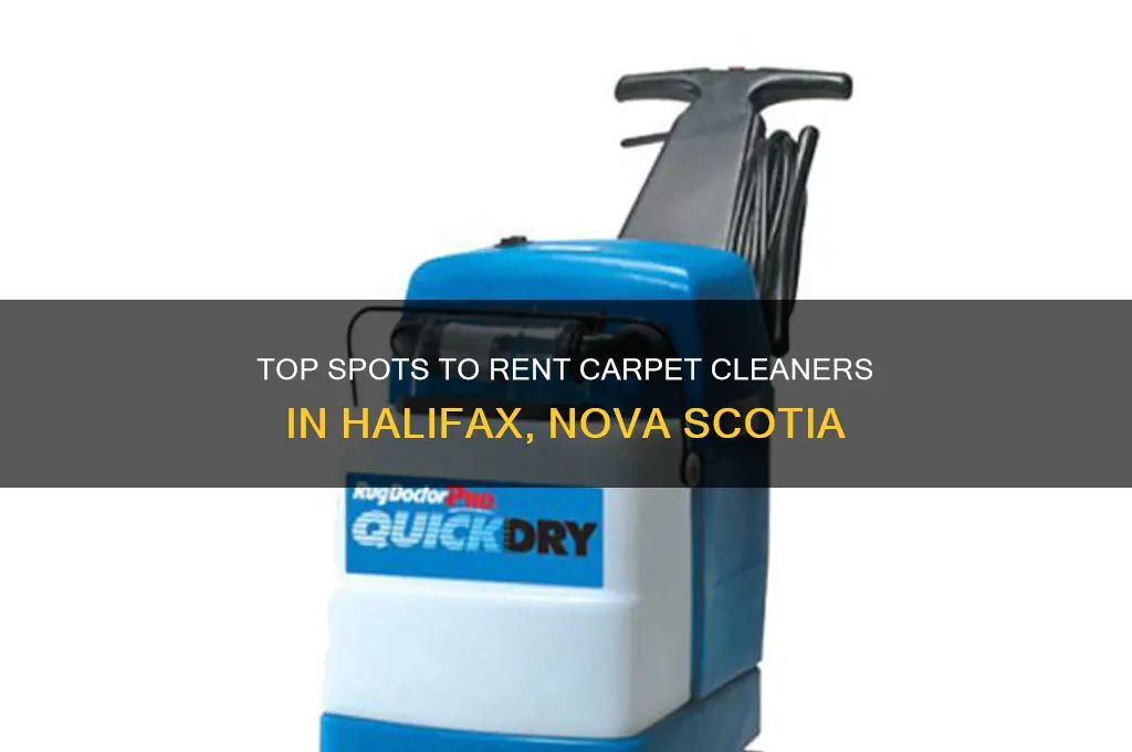 where to rent a carpet cleaner in halifax