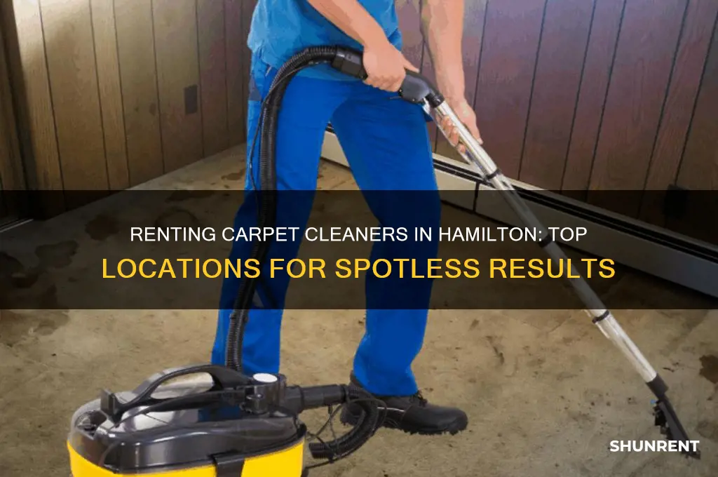 where to rent a carpet cleaner in hamilton