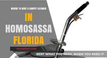 Renting Carpet Cleaners in Homosassa, Florida: Top Local Options