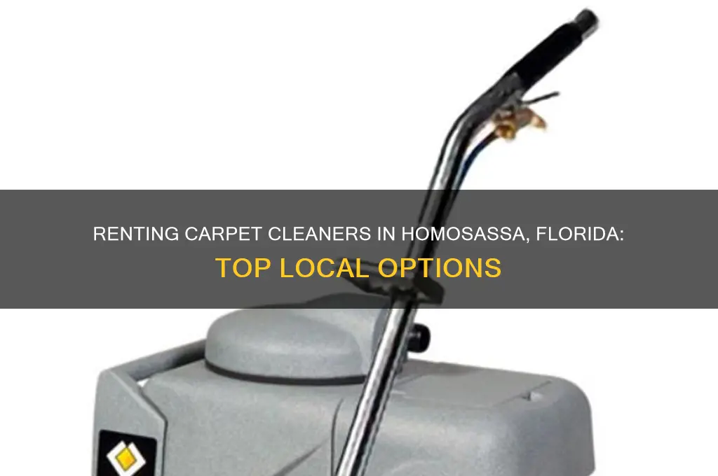 where to rent a carpet cleaner in homosassa florida