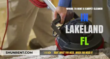 Top Lakeland FL Carpet Cleaner Rental Locations: Your Ultimate Guide