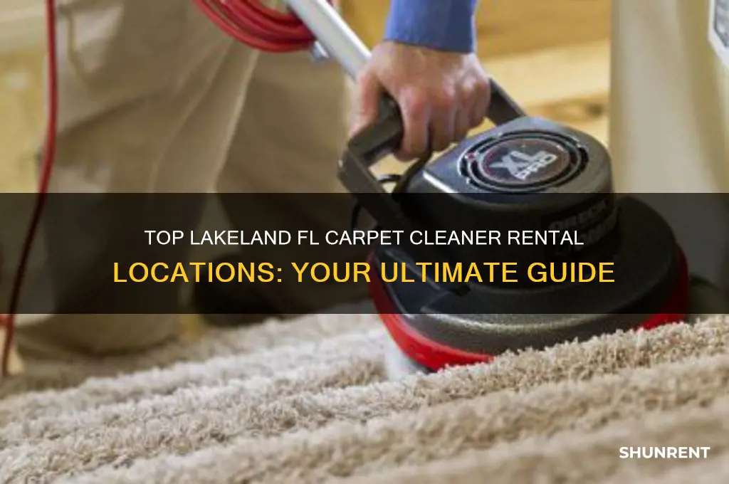 where to rent a carpet cleaner in lakeland fl