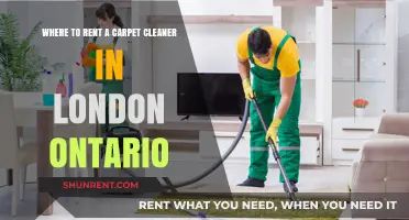 Top Carpet Cleaner Rental Spots in London, Ontario
