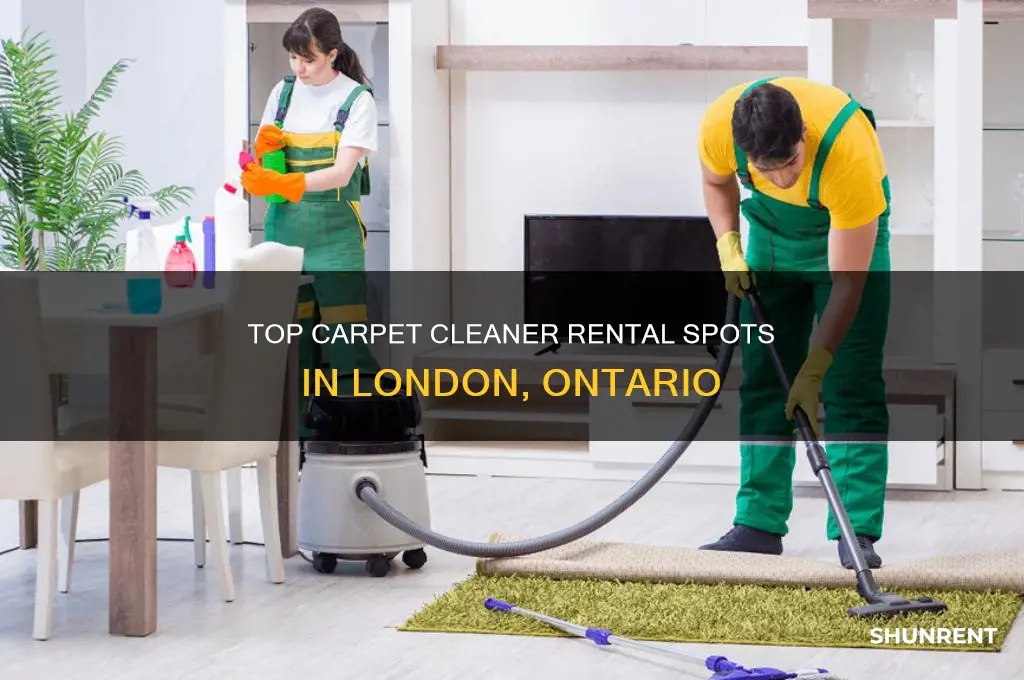 where to rent a carpet cleaner in london ontario