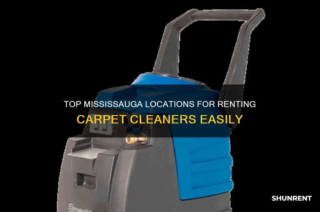 where to rent a carpet cleaner in mississauga