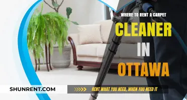 Ottawa's Top Spots to Rent Carpet Cleaners Easily and Affordably