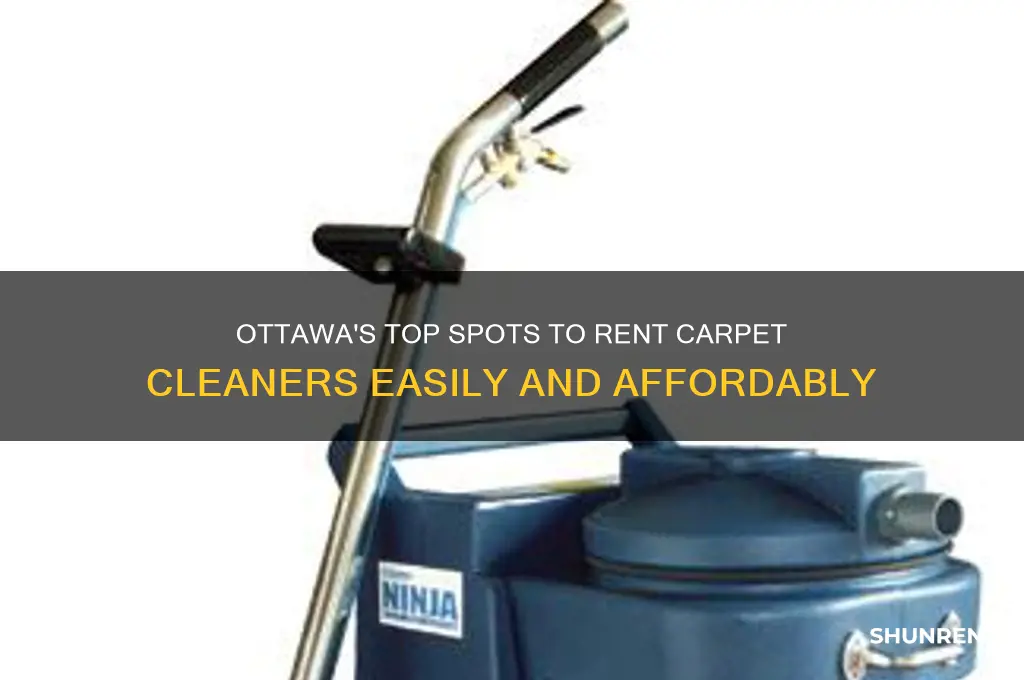 where to rent a carpet cleaner in ottawa