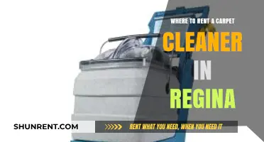 Regina's Top Spots to Rent Carpet Cleaners: A Quick Guide