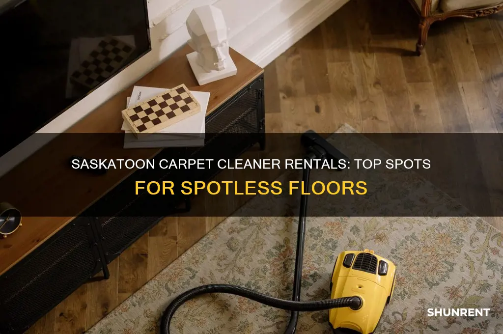 where to rent a carpet cleaner in saskatoon