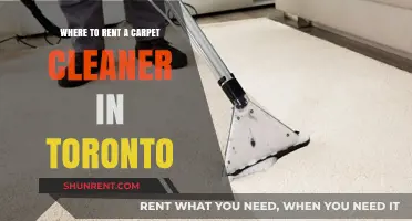 Top Toronto Spots to Rent Carpet Cleaners for Spotless Results