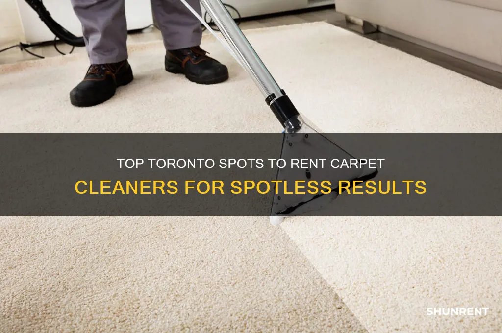 where to rent a carpet cleaner in toronto