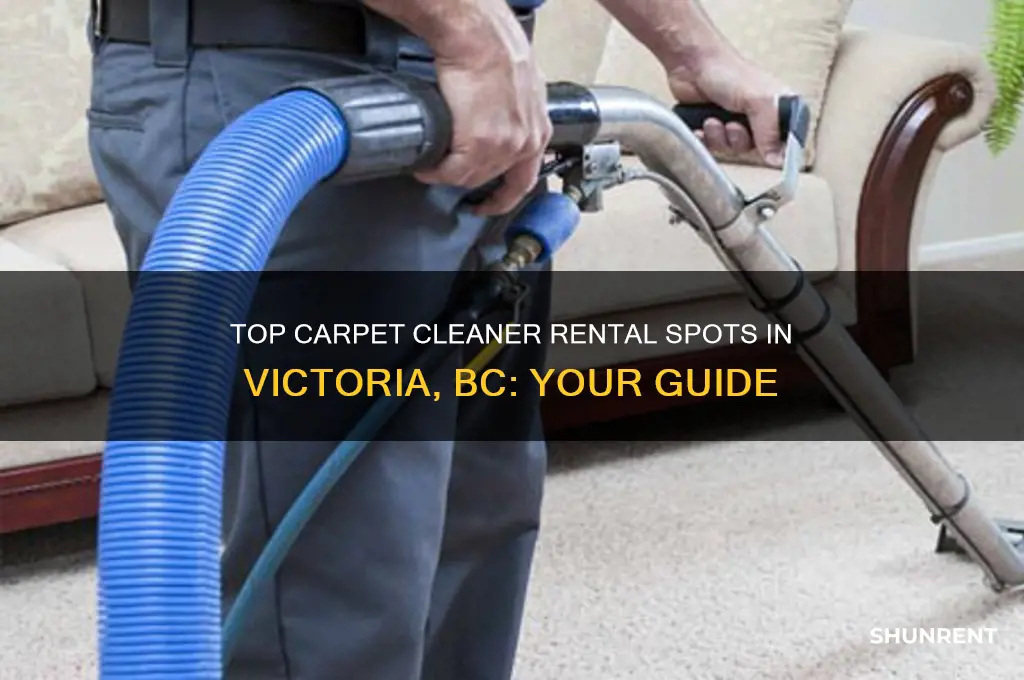 where to rent a carpet cleaner in victoria bc