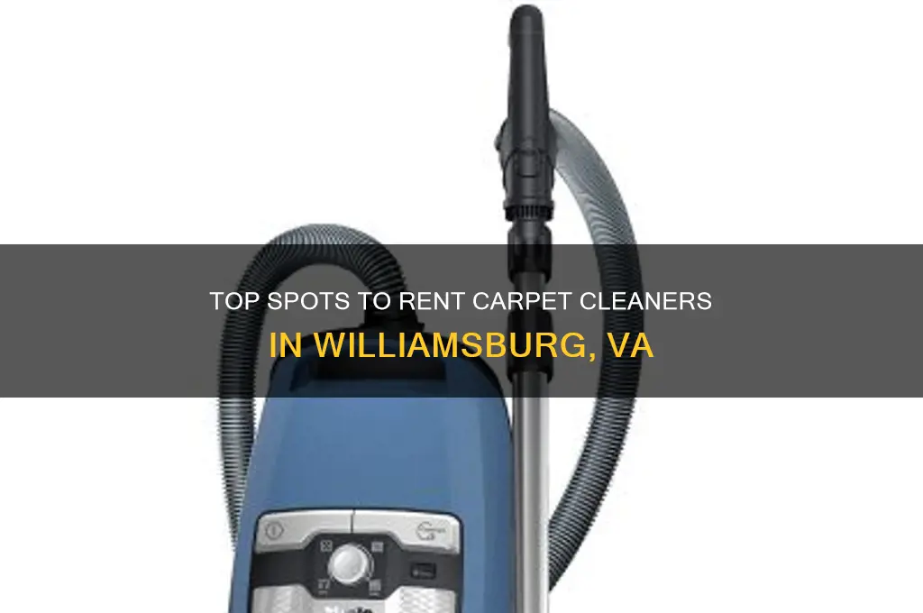 where to rent a carpet cleaner in williamsburg va