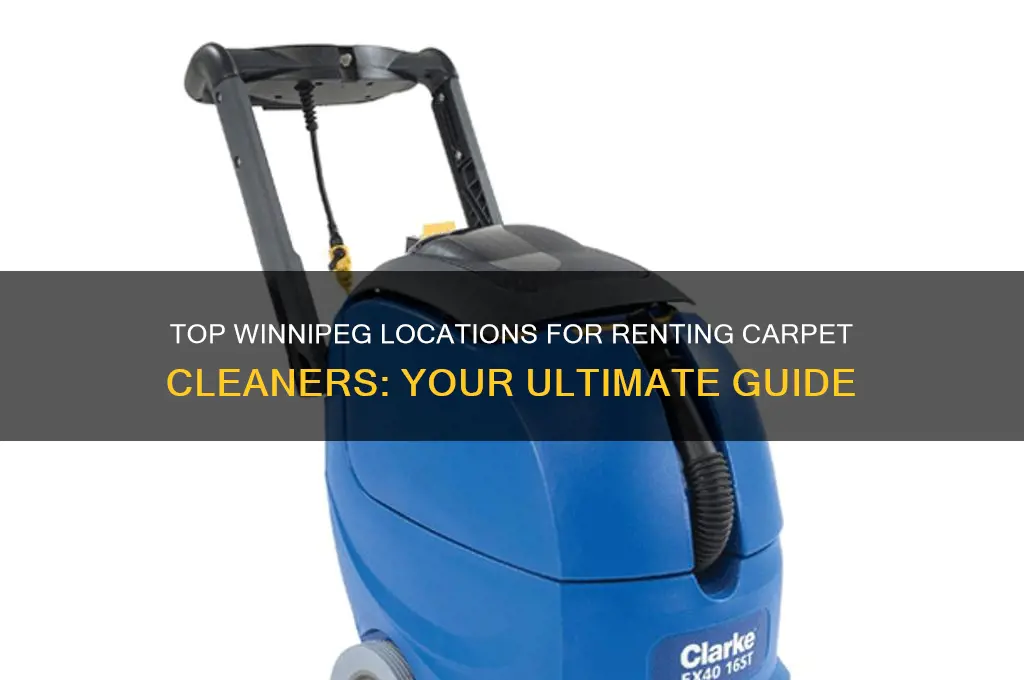 where to rent a carpet cleaner in winnipeg