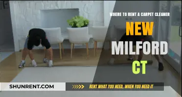 Top Spots to Rent Carpet Cleaners in New Milford, CT