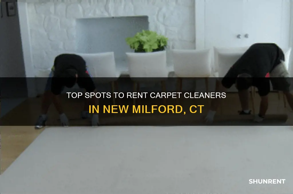 where to rent a carpet cleaner new milford ct