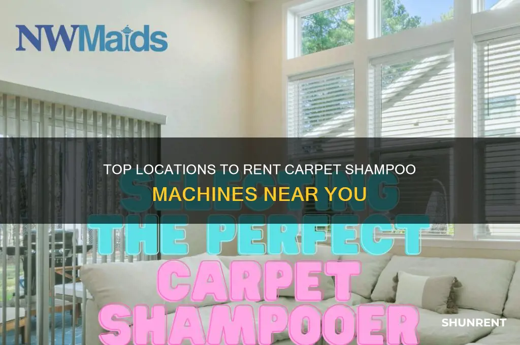 where to rent a carpet shampoo machine