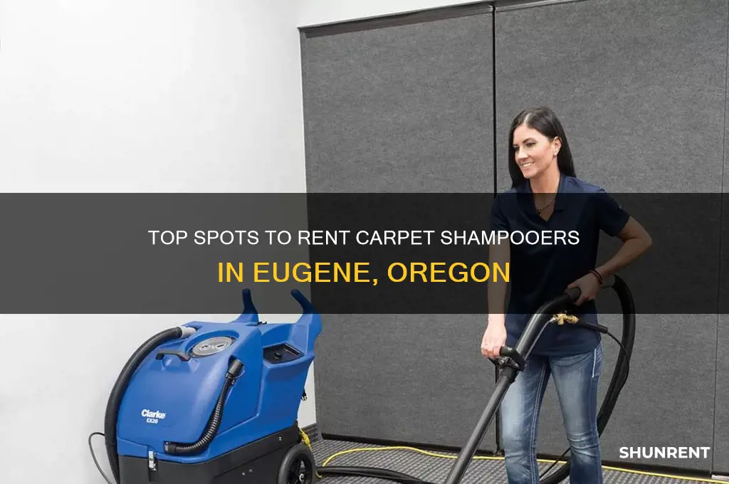 where to rent a carpet shampooer eugene or