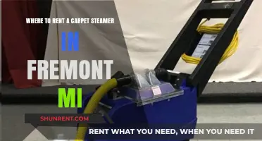 Rent a Carpet Steamer in Fremont, MI: Top Locations