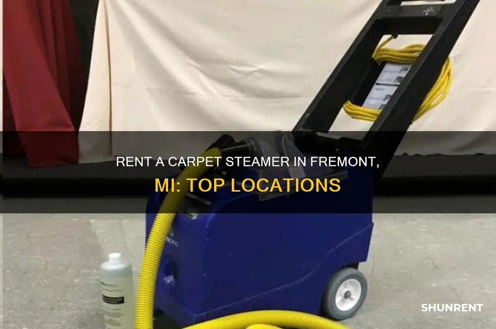 where to rent a carpet steamer in fremont mi