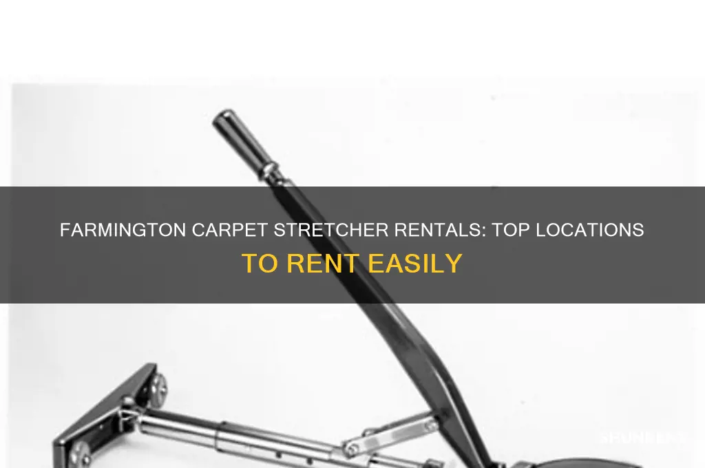 where to rent a carpet stretcher in farmington