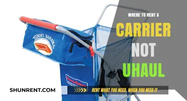 Alternative Carrier Rental Options: Beyond U-Haul's Monopoly