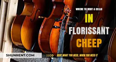 Affordable Cello Rentals in Florissant: Your Ultimate Guide to Cheap Options