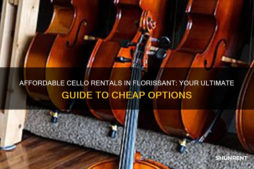 where to rent a cello in florissant cheep