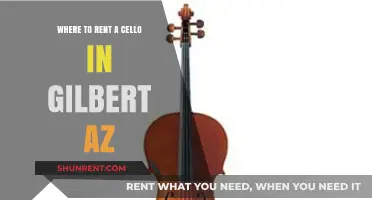 Best Cello Rental Options in Gilbert, AZ: Your Ultimate Guide