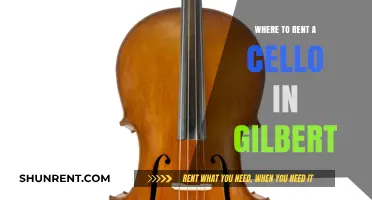 Where to Rent a Cello in Gilbert: A Comprehensive Guide