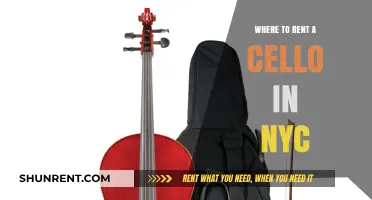 Where to Rent a Cello in NYC: A Comprehensive Guide
