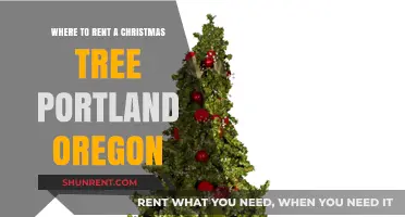 Rent a Christmas Tree in Portland: Eco-Friendly Holiday Options