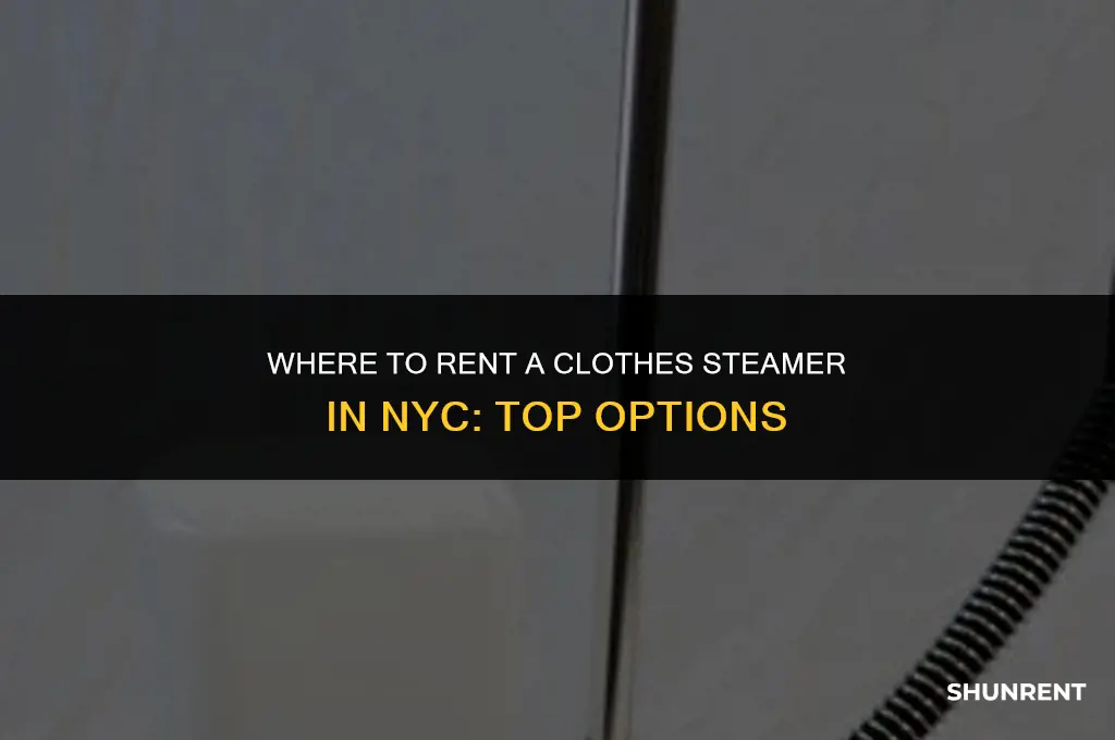where to rent a clothes steamer nyc
