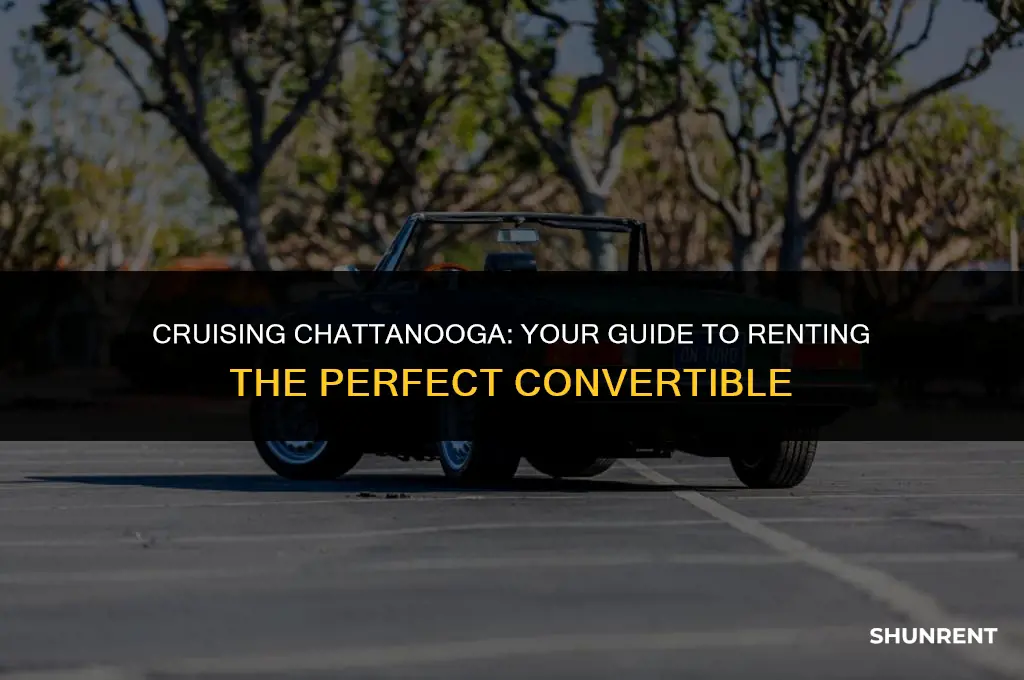 where to rent a convertible in chattanooga