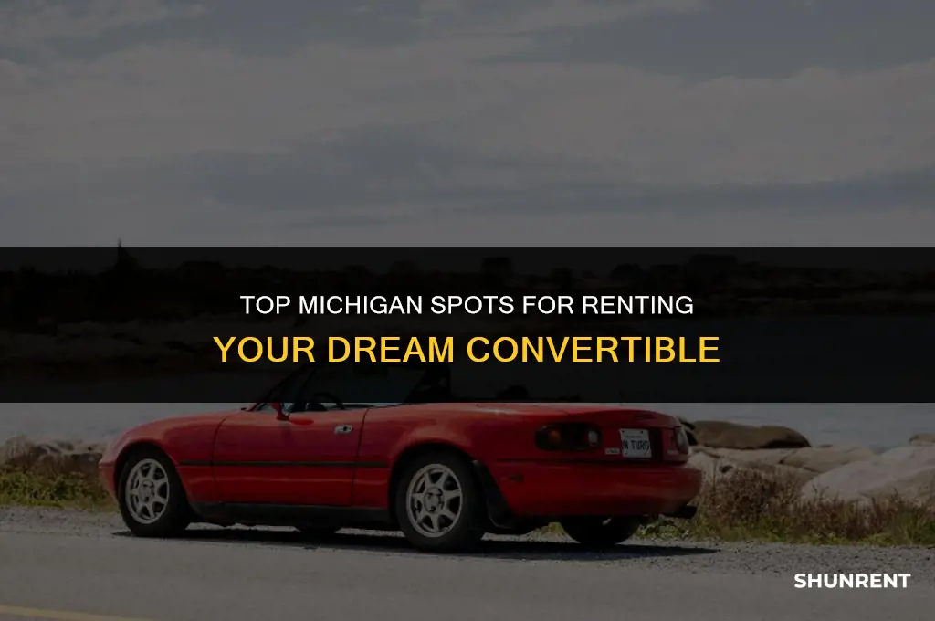 where to rent a convertible in michigan
