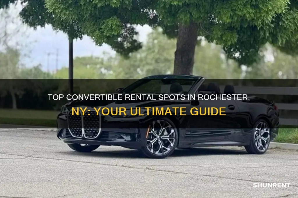 where to rent a convertible in rochester ny