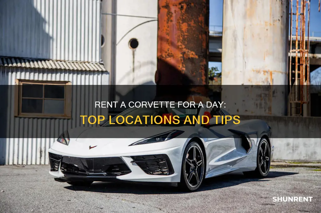 where to rent a corvette for a day