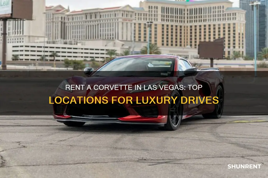 where to rent a corvette in las vegas