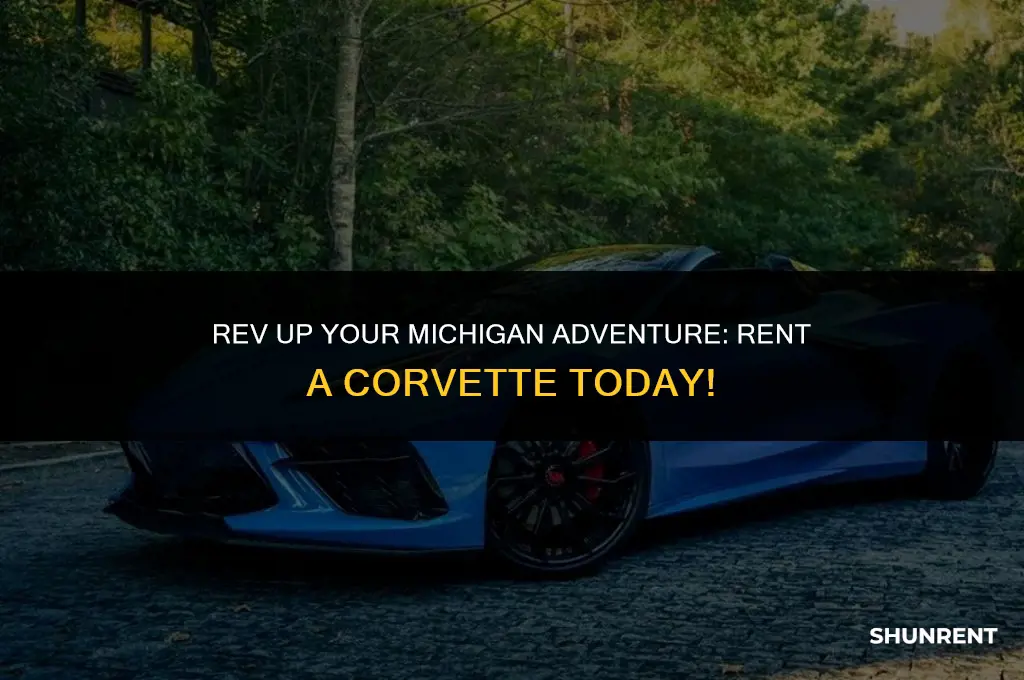 where to rent a corvette in michigan