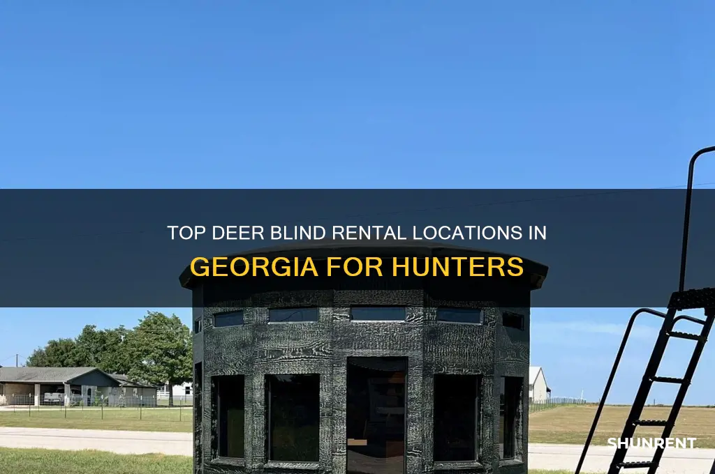 where to rent a deer blind in georgia