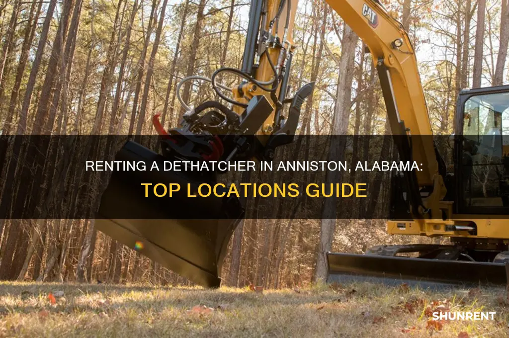 where to rent a dethasher in anniston alabama