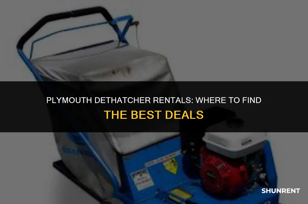 where to rent a dethatcher in plymouth