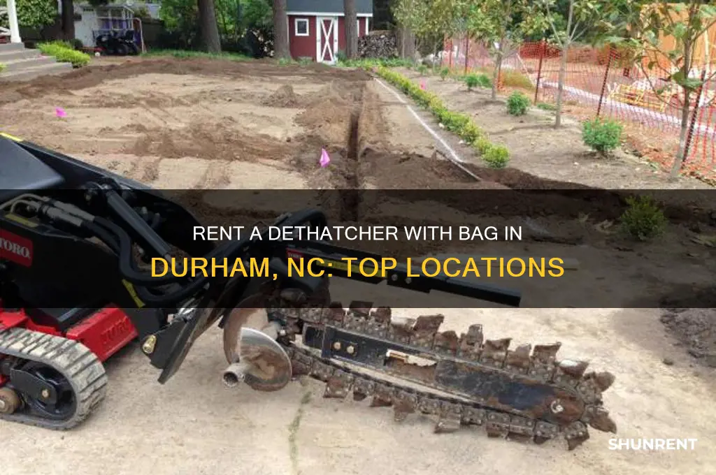 where to rent a dethatcher with a bag durham nc