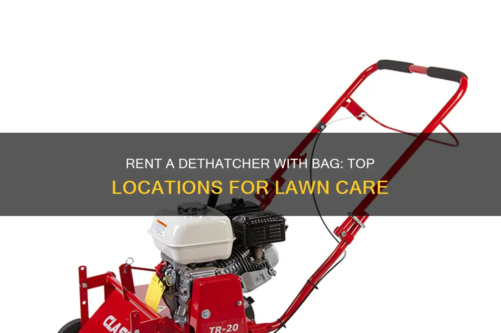 where to rent a dethatcher with a bag