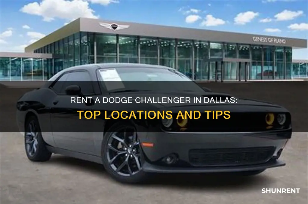 where to rent a dodge challenger in dallas tx