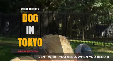Where to Rent a Dog in Tokyo: A Comprehensive Guide